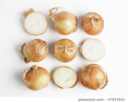 Onion seamless pattern isolated on white 47937641