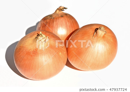 Onion green (Kitami Huang) 47937724