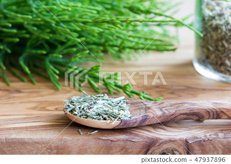 Fresh and dried horsetail on a wooden background Fresh and dried horsetail on a wooden background 47937896