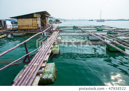 Fish cage In the sea. 47938522