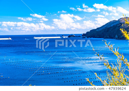 Fishing port Ofunato City [Iwate Prefecture] 47939624