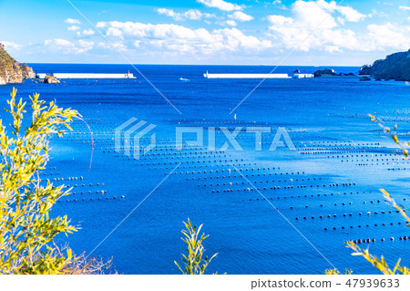 Fishing port Ofunato City [Iwate Prefecture] 47939633