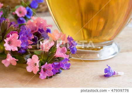 Lungwort (pulmonaria) flowers with a cup of tea 47939776