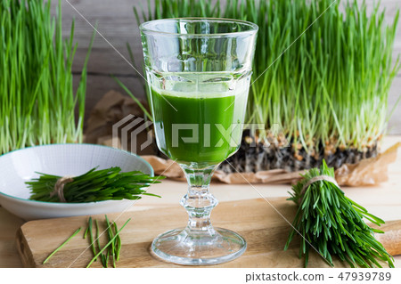 A glass of wheatgrass juice with fresh wheatgrass A glass of wheatgrass juice with fresh wheatgrass 47939789