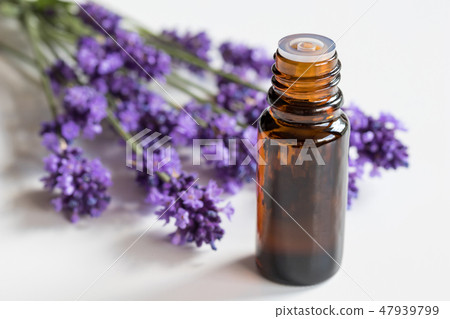 A bottle of lavender essential oil with lavender 47939799