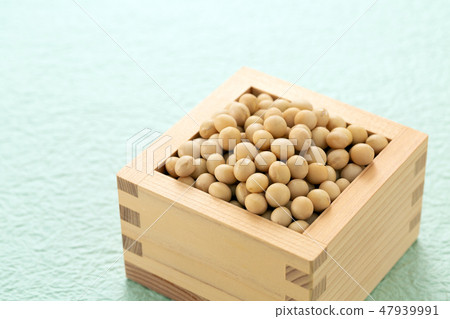 大豆 47939991