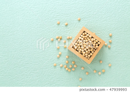 大豆 大豆 47939993