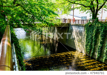 [東京]目黑河 47940781