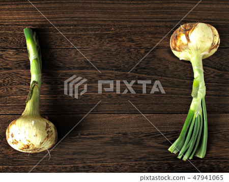 New Onion New Onion 47941065