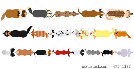 Dog border set 47941382