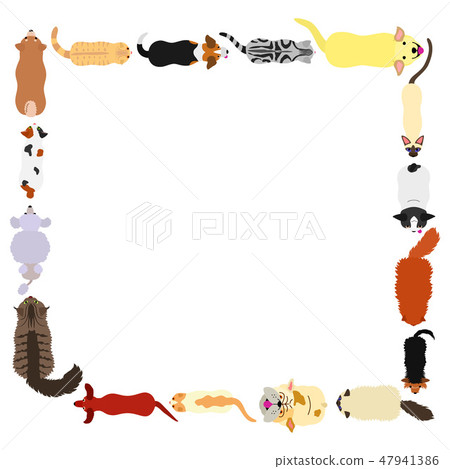 Dog and Cat Square Frame Dog and Cat Square Frame 47941386