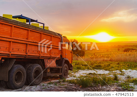 Close-up ears of wheat at field and harvesting machine on background. 47942513
