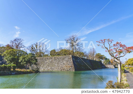 Yatsushiro Castle Ruins Yatsushiro Castle Ruins 47942770
