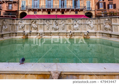 Fountain in Siena, Italy 47943447