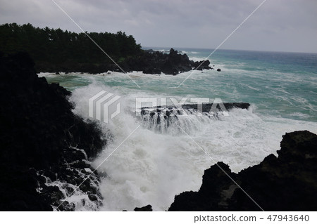 Daepo-dong Jangseoljeori, volcanic rock, beach, waves, 47943640