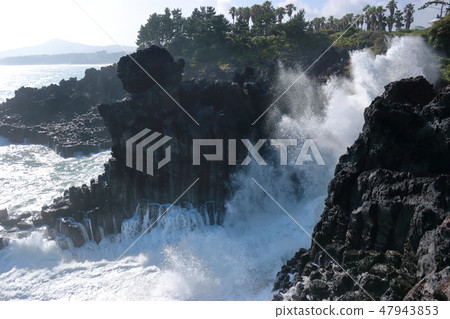 Daepo-dong Jangseoljeori, volcanic rock, beach, lava, wave, 47943853