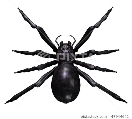 Spider 3d illustration isolated on the white... - Stock Illustration ...