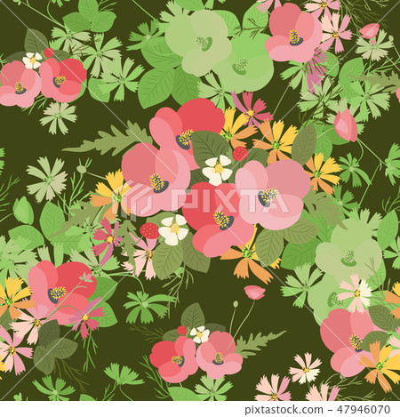 Floral background poppy and cosmos strawberries vector illustration Floral background poppy and cosmos strawberries vector illustration 47946070