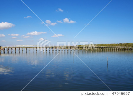 Nakase Ohashi (Chosei Chosei village) 47946697