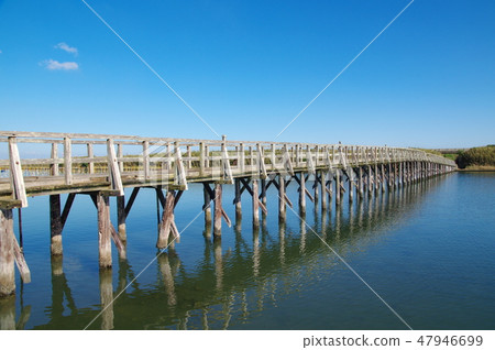 Nakase Ohashi(Chosei Chosei村) Nakase Ohashi(Chosei Chosei村) 47946699