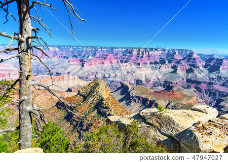 Grand Canyon in Arizona Grand Canyon in Arizona 47947027