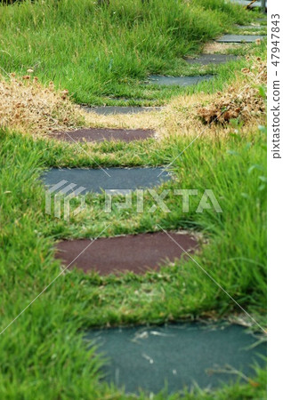 street grass street grass 47947843