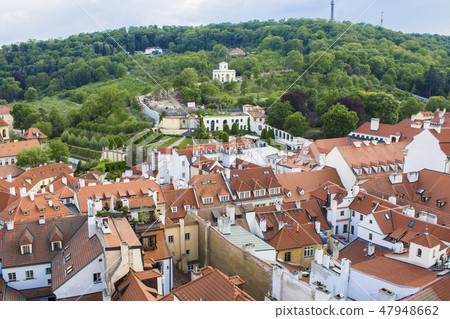 View of Prague from the tower of the Cathedral  47948662