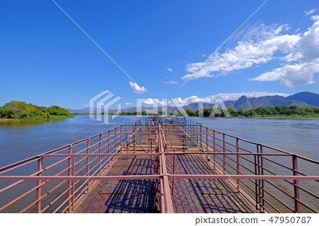 Cattle pontoon boat on Rio Paraguay river, Porto Jofre, Pantanal, Mato Grosso, Brazil, South America 47950787