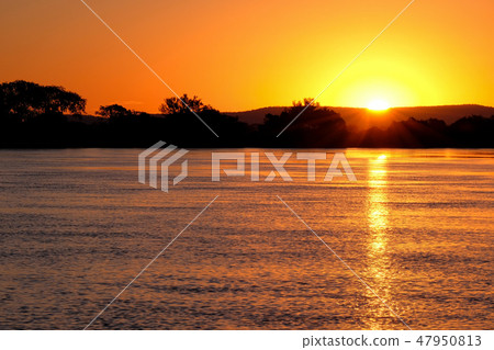 Paraguay River at sunset between Corumba and Porto Jofre, Pantanal, Mato Grosso do Sul, Brazil Paraguay River at sunset between Corumba and Porto Jofre, Pantanal, Mato Grosso do Sul, Brazil 47950813