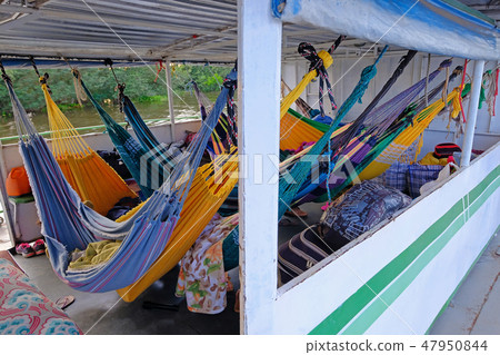Hammocks on passengers deck on cattle pontoon boat on Rio Paraguay river, Corumba, Pantanal, Mato Hammocks on passengers deck on cattle pontoon boat on Rio Paraguay river, Corumba, Pantanal, Mato 47950844