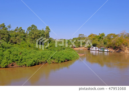 Densely forested shores of the Aquidauana river in the brazilian Pantanal, houseboats on the 47951088