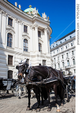 Horse-drawn carriages in front of the Hofburg Horse-drawn carriages in front of the Hofburg 47952602