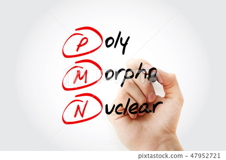 PMN - PolyMorphoNuclear acronym PMN - PolyMorphoNuclear acronym 47952721