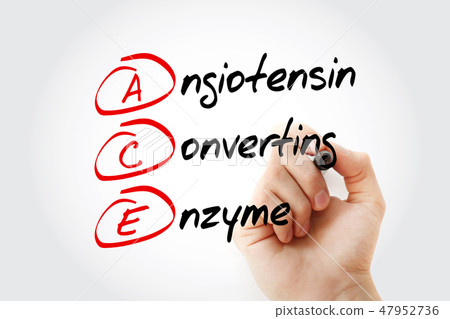ACE - Angiotensin Converting Enzyme ACE - Angiotensin Converting Enzyme 47952736