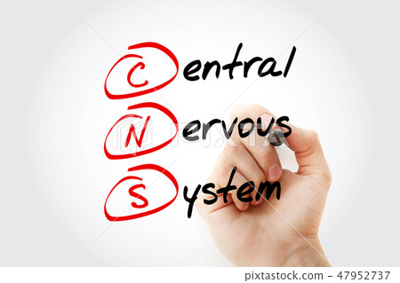 CNS - Central Nervous System acronym CNS - Central Nervous System acronym 47952737