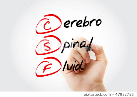CSF - cerebrospinal fluid acronym CSF - cerebrospinal fluid acronym 47952756
