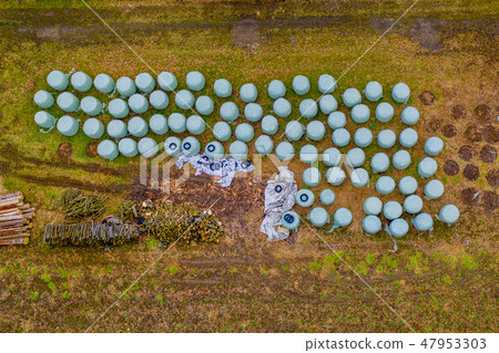 Bale silage on meadov, aerial shot 47953303
