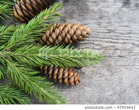 Coniferous trees on a wooden background. 47954642