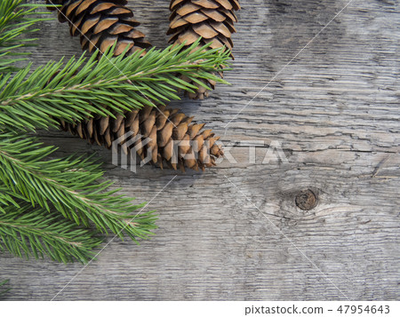 Coniferous trees on a wooden background. 47954643