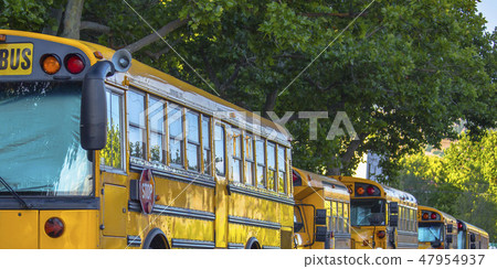 Row of school buses parked on the street 47954937