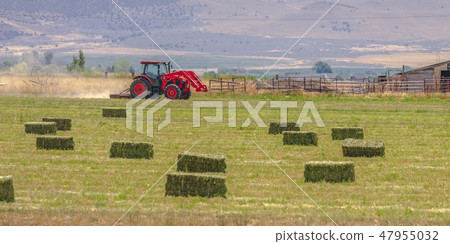 Red tractor and old barn on a field in Utah Valley Red tractor and old barn on a field in Utah Valley 47955032