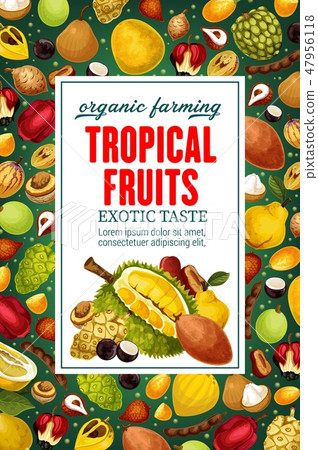 Tropical fruits, vector exotic food 47956118