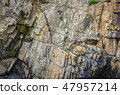 Mountain with natural pattern 47957214