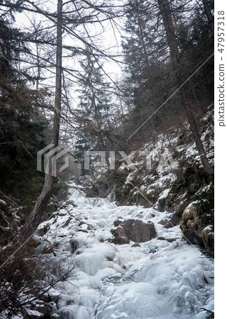 Frozen waterfall in the woods in the mountains. 47957318