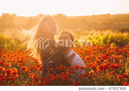 Man and woman embracing in poppy field on the dusk 47957389