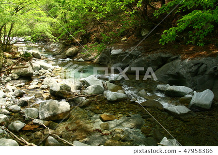 Nishi Tanzawa Nishizawawa climbing a mountain stream Fishing 47958386