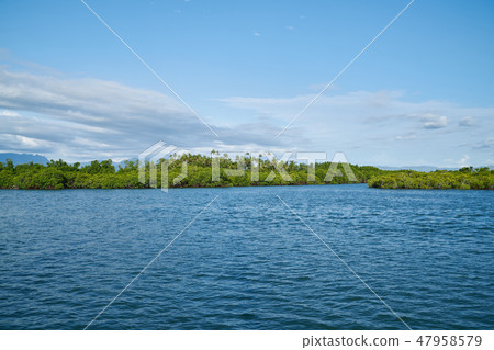 Mangrove, Fiji, Travel Mangrove, Fiji, Travel 47958579