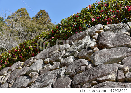 Azuchi Castle Ruins 47958961