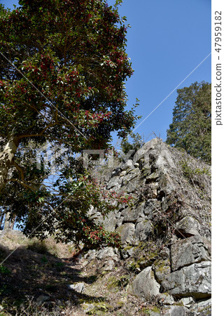 Azuchi Castle Ruins 47959182