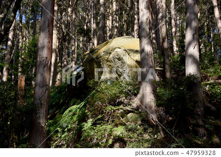 Azuchi castle ruins rock 47959328